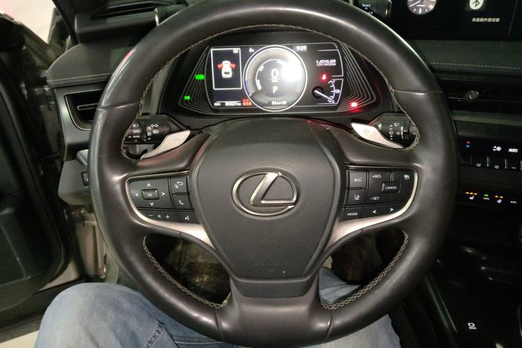 Used Lexus UX New Energy 2020 300e Pure·Joy Edition
