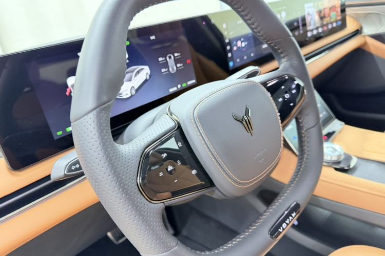 Used VOYAH PASSION 2024 PHEV Four-Wheel Drive Ultra-Long Range Flagship Model
