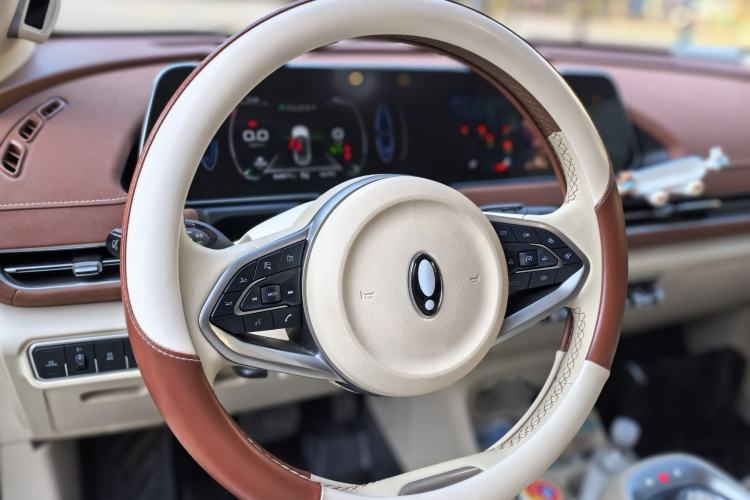 Used ORA Good Cat 2021 400km Standard Range Athena Edition Lithium-Ion Battery
