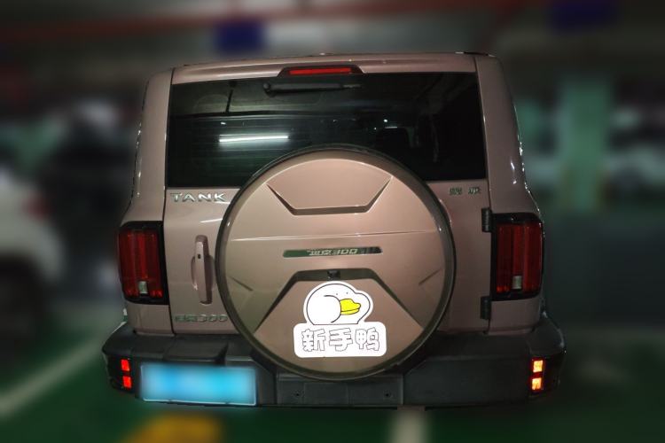 Used Tank 300 2021 City Edition 2.0T—Truly Stylish