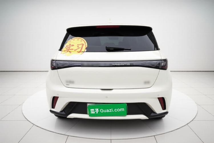 Used BYD Dolphin 2024 Honor Edition 420km Fashion Version Rear