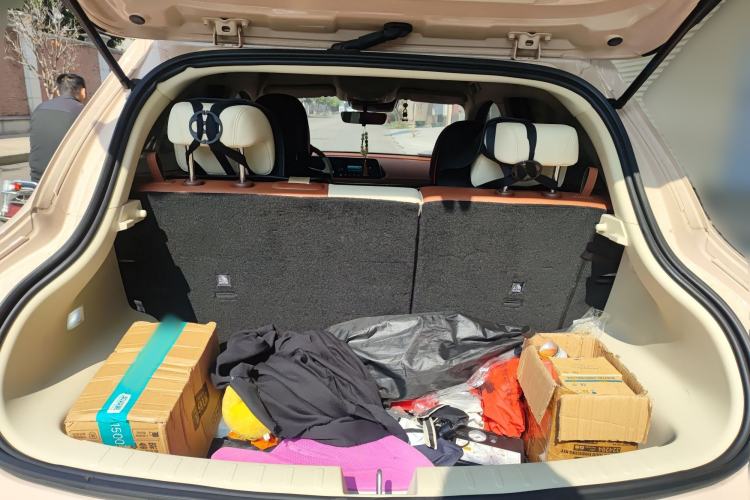 Used ORA Good Cat 2023 401 km Standard Range Luxury Version Lithium Iron Phosphate
