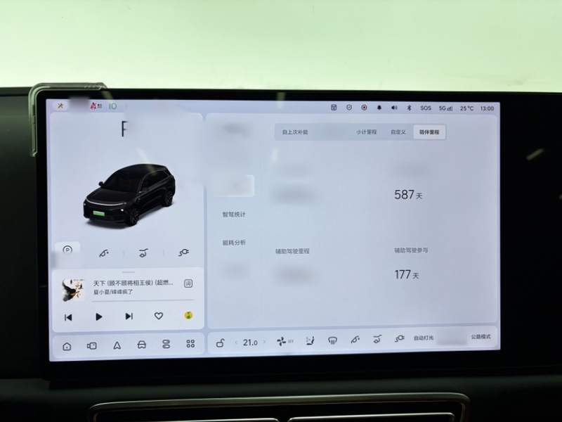 Used Li Auto L6 2024 Max — 11