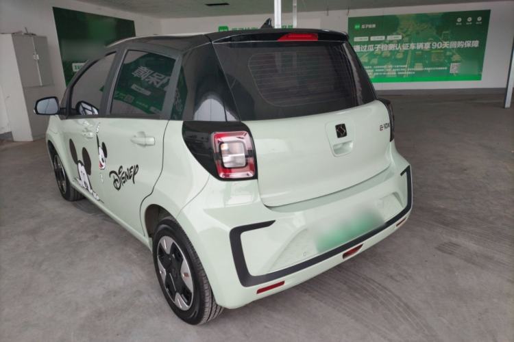 Used SOL E10X 2022 Flower Fairy Design Four-Leaf Clover
