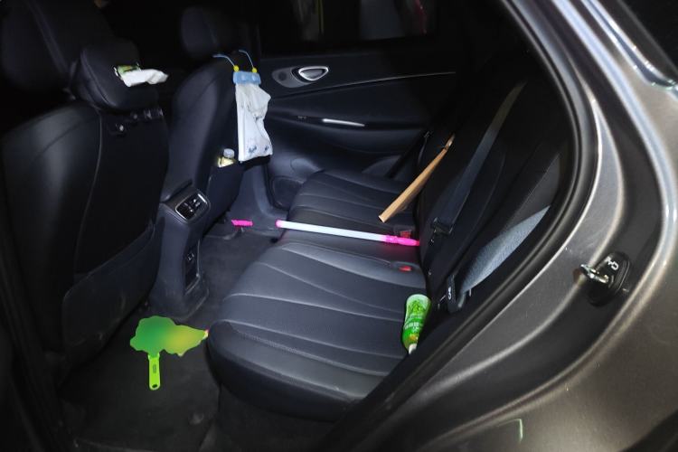 Used BYD Sealion 06 New Energy 2025 Model EV 605 Navigation Pro Edition Left Rear Seat