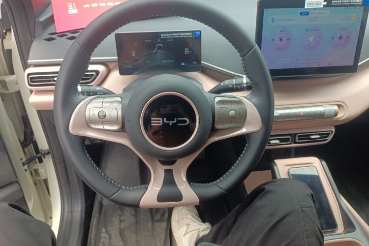 Used BYD Seagull 2024 Honor Edition 305km Freedom Version
