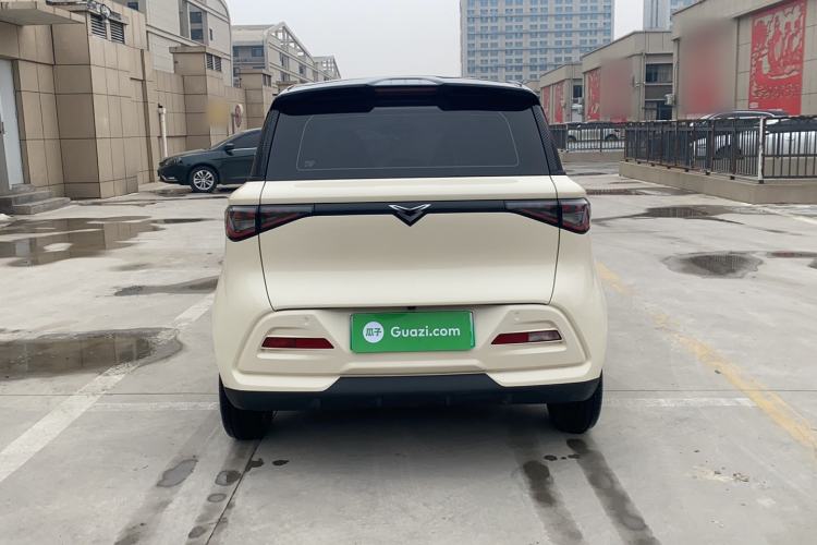 Used Cowin October 2025 Mate 300km Surfing Edition