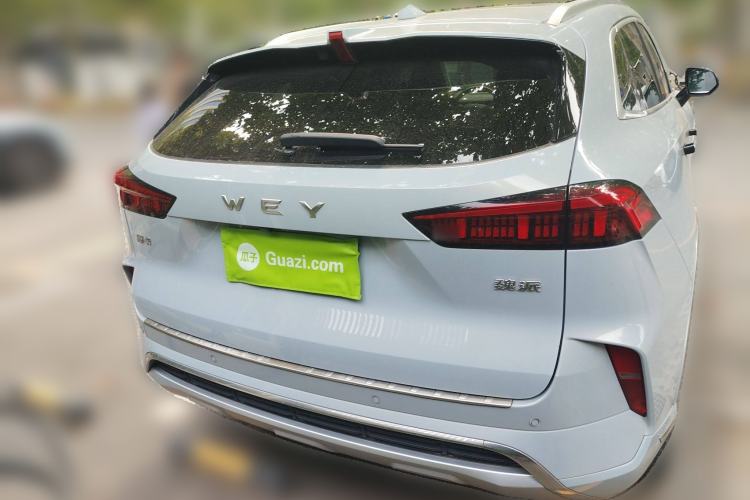 Used Wey Mocha 2021 2.0T Four-Wheel Drive Premium Edition
