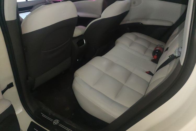 Used IM LS6 2023 Max Standard Edition
