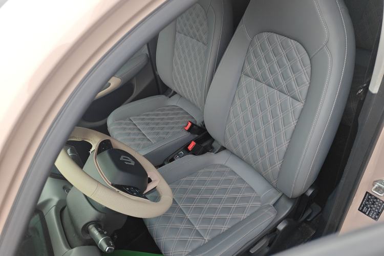 Used Leapmotor T03 2021 400 Luxury Edition Left Front Seat