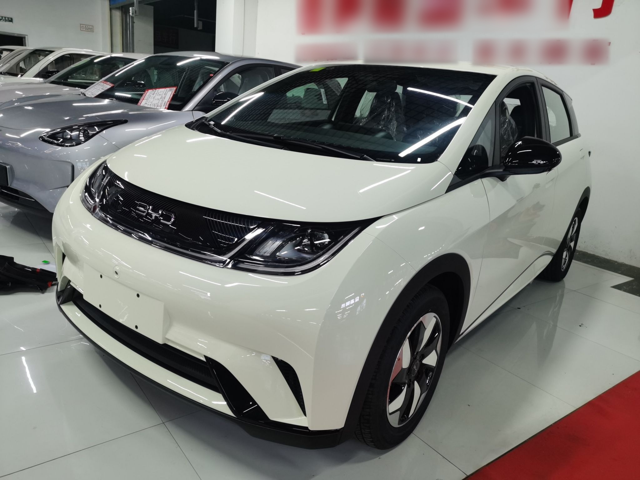 Parte inferior delantera