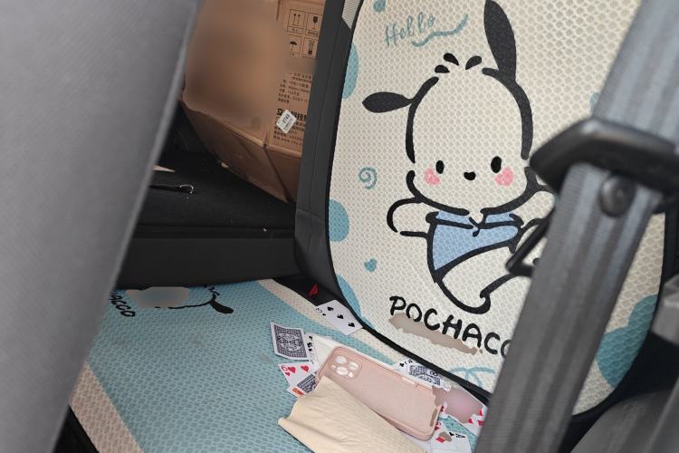 Used CHANGAN NEVO Lumin 2025 205 km Xiangqin Version Left Rear Seat