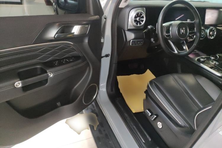 Used Tank 300 2021 Off-Road Edition 2.0T Conqueror Driver Seat