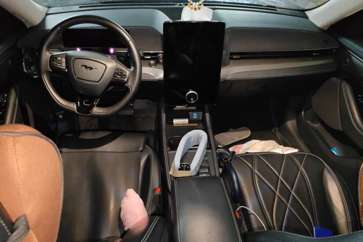 Used Ford Mustang Mach-E 2021 Leap Edition Rear-Drive Version (Standard Range)