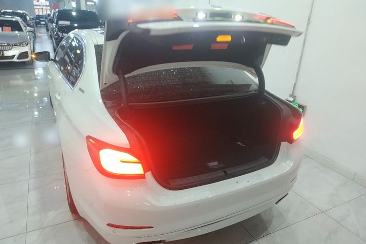 Used BMW 5 Series New Energy 2019 530Le Luxury Package
