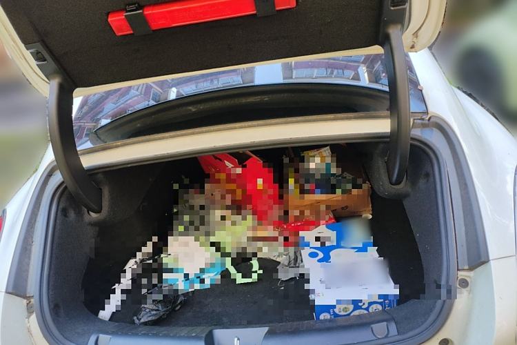 Used ORA Lightning Cat 2022 555 km Luxury Edition