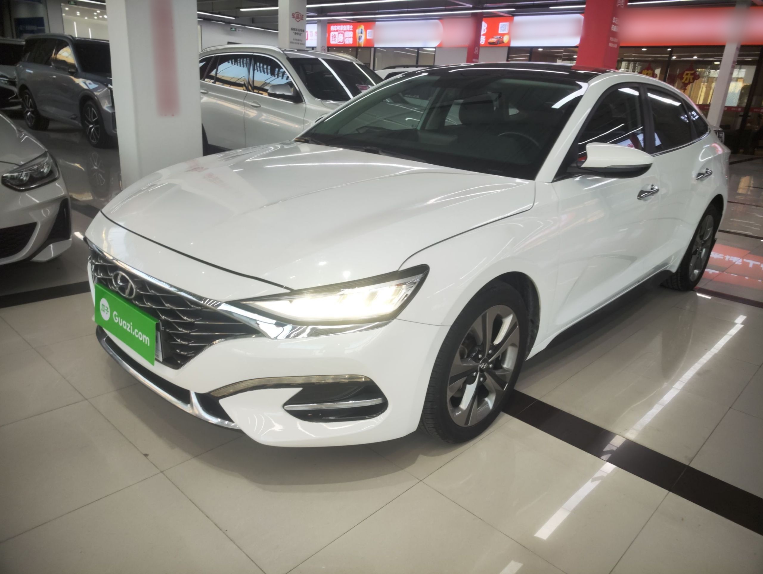 Parte inferior delantera