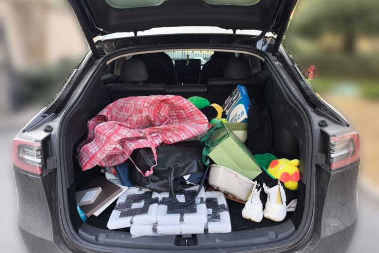 Used Tesla Model Y 2021 Standard Range Rear-Wheel Drive Version
