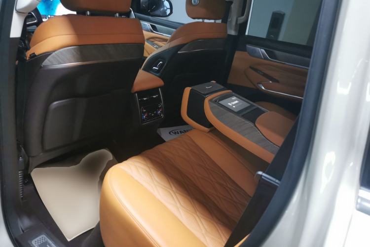 Used Tank 500 2023 3.0T Business Edition "Creation" Style 5 Seats Left Rear Seat