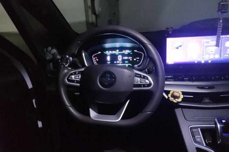 Used Livan Maple 80V 