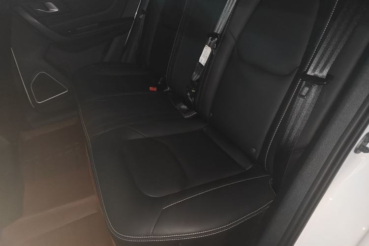 Used Bestune X40 2019 1.6L Automatic Luxury Edition China VI Left Rear Seat