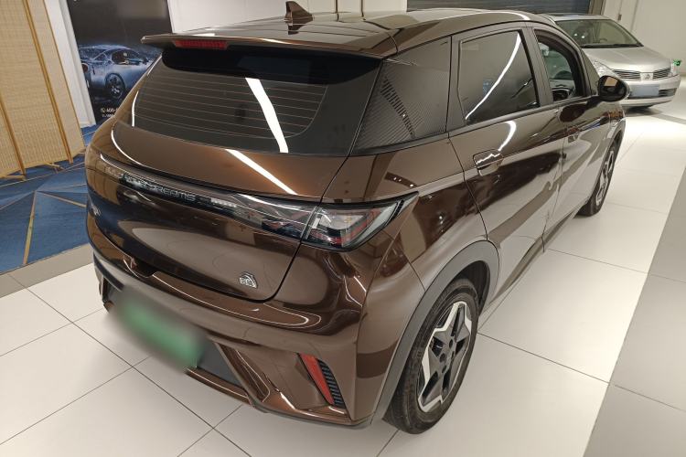 Used BYD Dolphin 2021 405 km Free Version