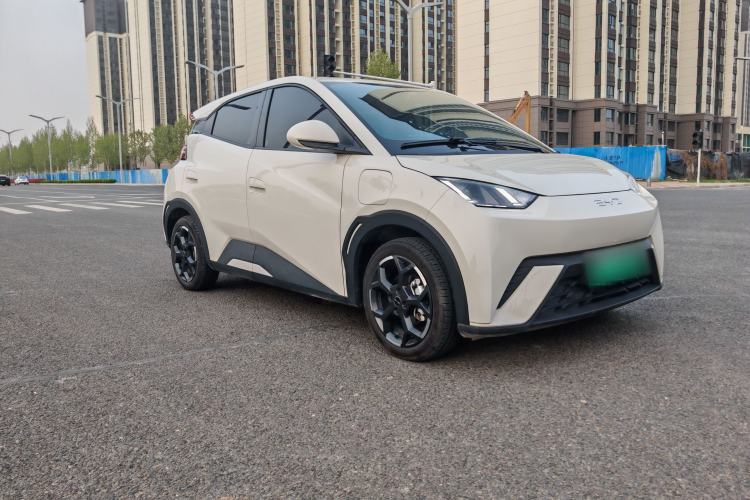 Used BYD Seagull 2025 305 km Free Version