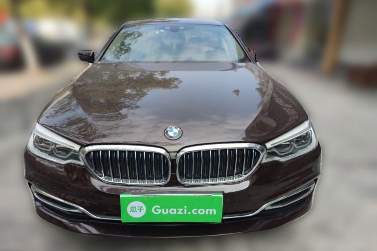 Used BMW 5 Series New Energy 2019 530Le Luxury Package