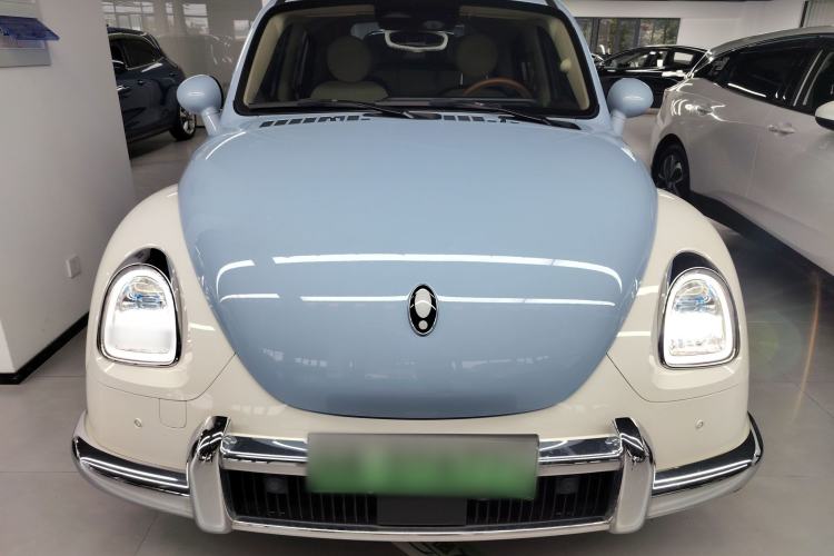 Used ORA Ballet Cat 2023 401 km Luxury Version
