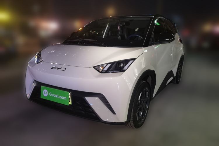 Used BYD Seagull 2025 305 km Free Version