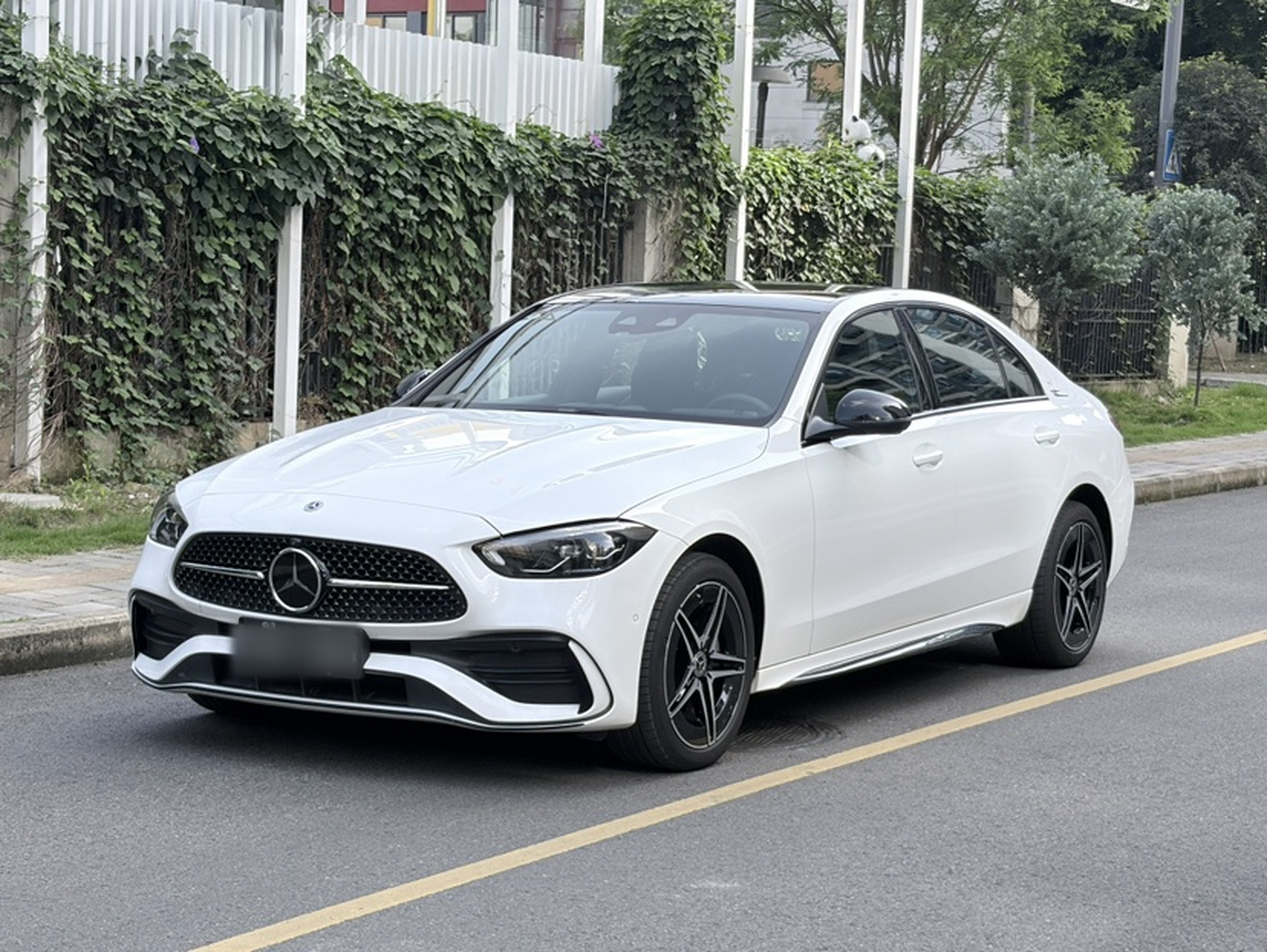 Parte inferior delantera