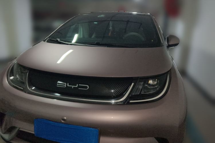 Used BYD Dolphin 2021 405 km Fashion Edition Front