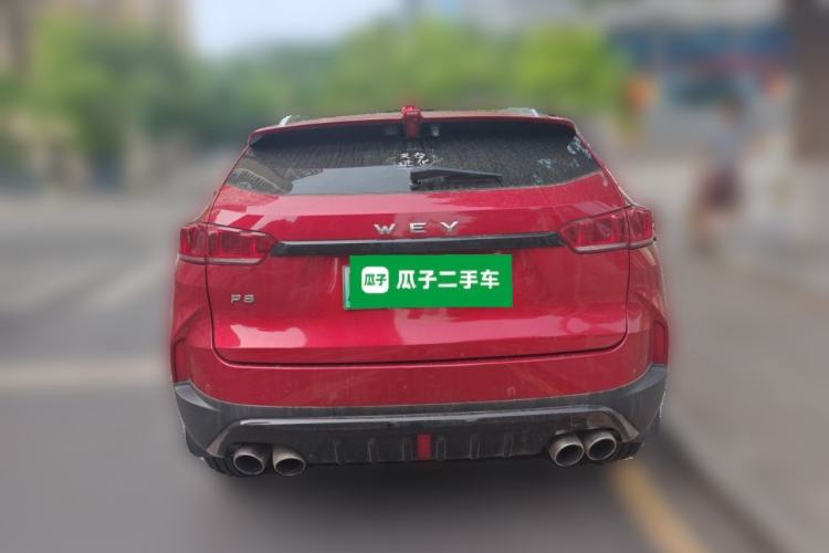 Used Wey P8 2018 2.0T Flagship Model Rear