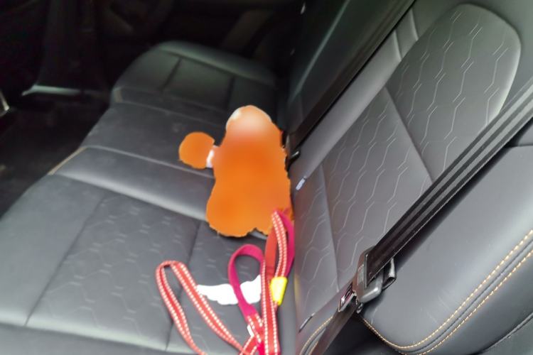 Used Haval DARGO 2022 1.5T DCT Two-Wheel Drive Border Collie Edition Interior 4