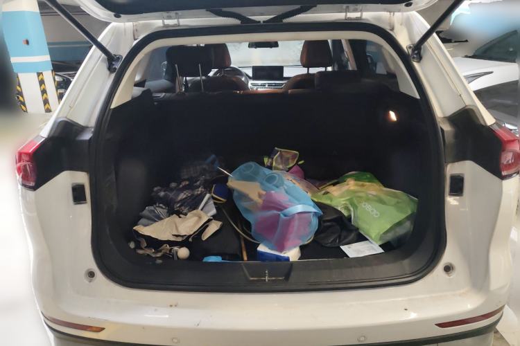 Used Haval H6 2021 National Trend Edition 1.5T Automatic Urban Version
