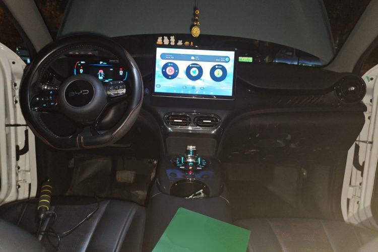 Used BYD e2 2024 Honor Edition Luxury Model Center Console