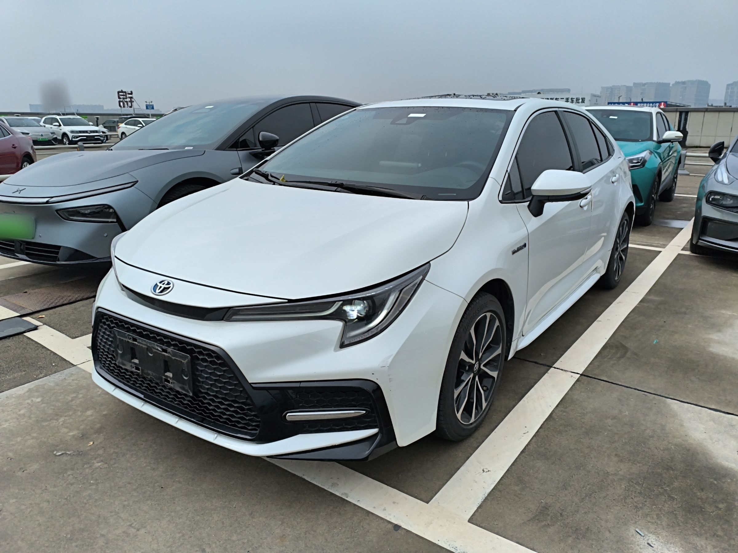 تحت مقدمة السيارة