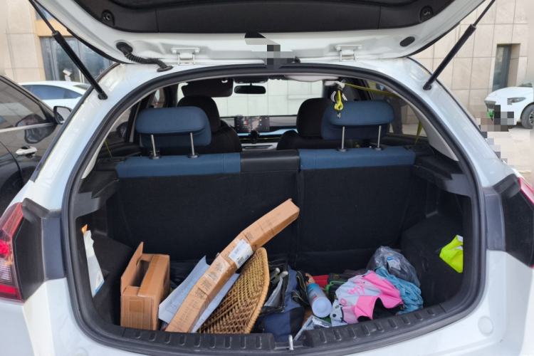 Used Geometry EX3 Kung Fu Cow 2021 Kungfu NiuNiu
