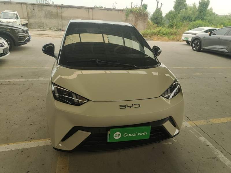 Used BYD Seagull 2024 Honor Edition 305km Dynamic Version — 2