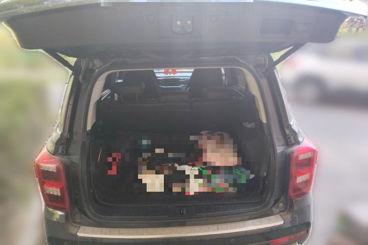 Used GAC Trumpchi GS8 2017 320T Two-Wheel Drive Luxury Smart Connectivity Version (7 Seats)
