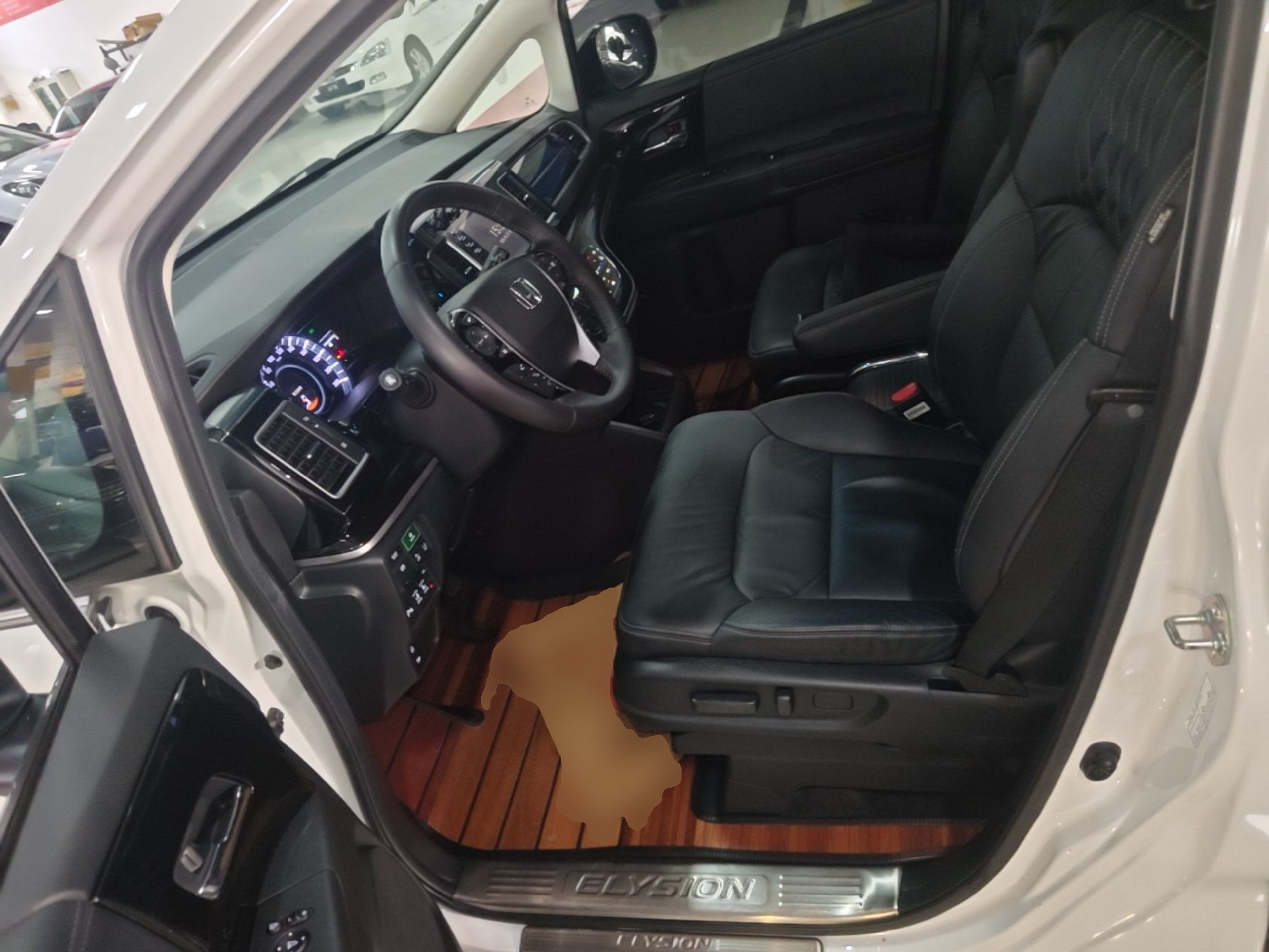 Interior delantero