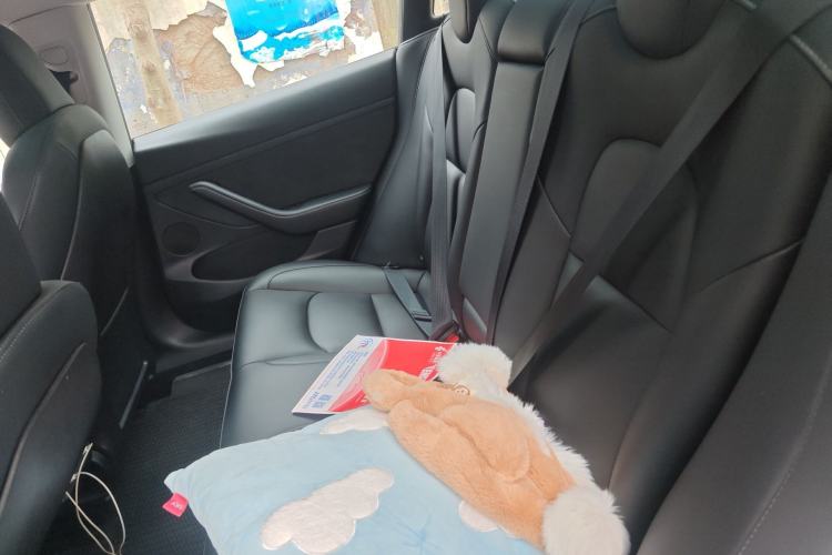 Used Tesla Model 3 2022 Rear-Wheel-Drive Version