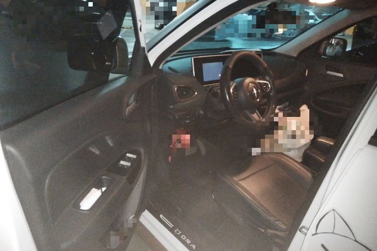 Used ORA White Cat 2022 Xiaoyue Mao Edition 360 km Luxury Model Lithium NMC