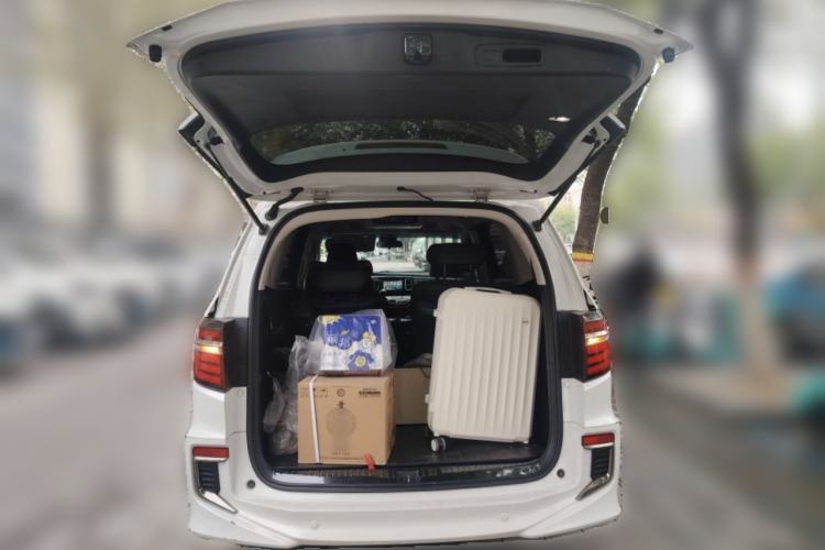 Used Honda Elysion 2019 2.0L Hybrid Luxury Edition Trunk