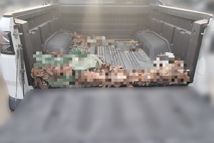 Used Radar Horizon 2023 410 km Entrepreneur Edition Trunk