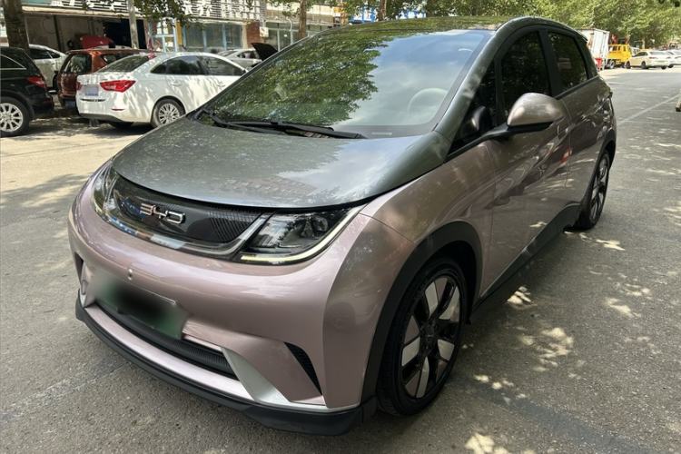 Used BYD Dolphin 2021 401km Knight Edition
