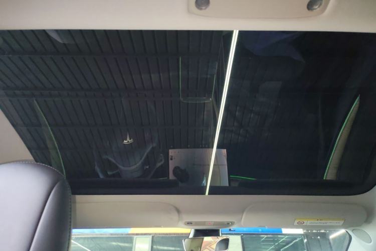 Used Tesla Model 3 2021 Performance High-Performance All-Wheel-Drive Version Headliner