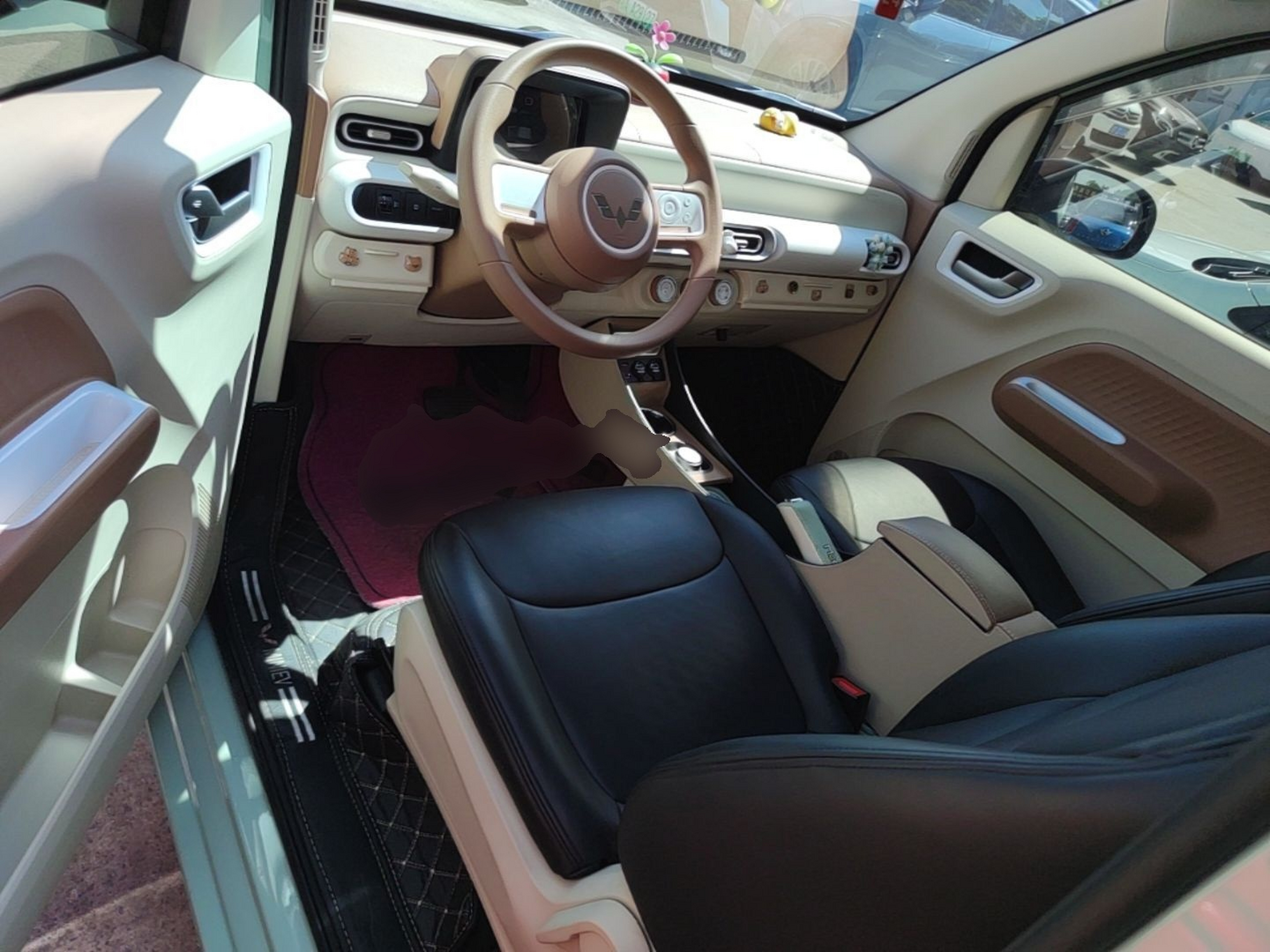 Interior delantero