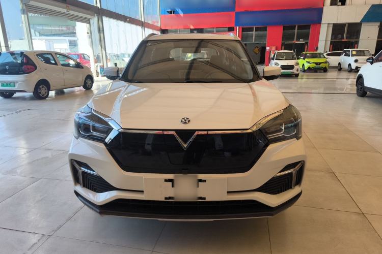 Used Venucia T60EV 2020 AI Enjoyment Model