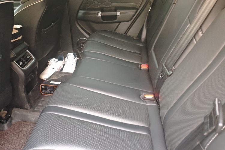 Used Tank 300 2021 2.0T Wind & Forest Iron Rider
